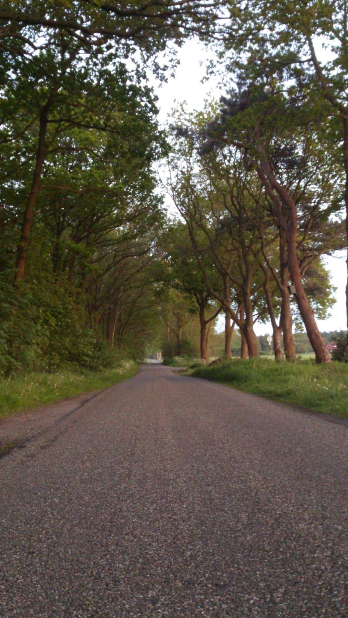 Stal Zwartschaap Διαμέρισμα Stuifzand Εξωτερικό φωτογραφία
