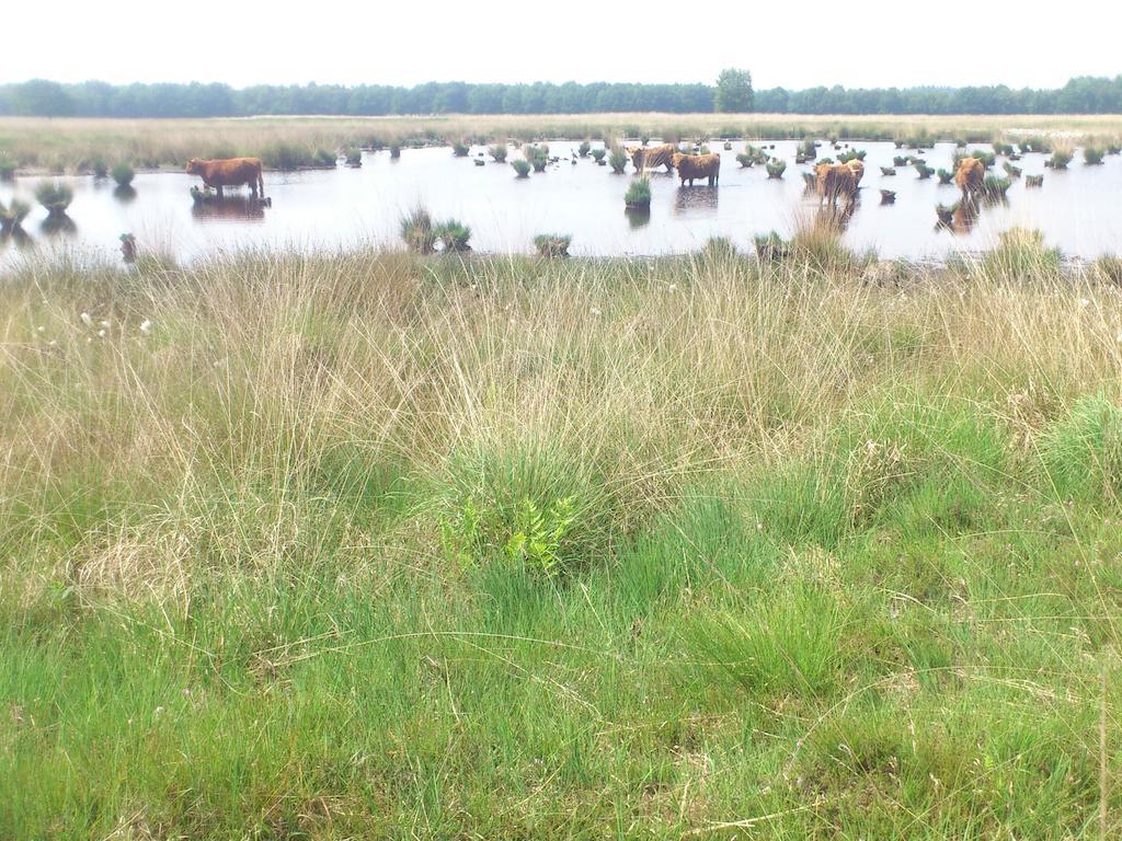 Stal Zwartschaap Διαμέρισμα Stuifzand Εξωτερικό φωτογραφία